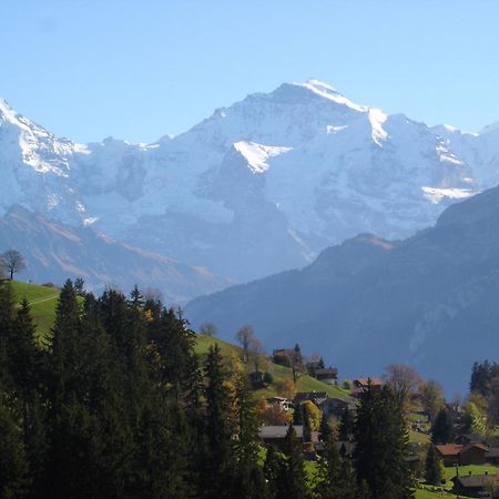 Chalet Sunneschyn Schwanden  Экстерьер фото