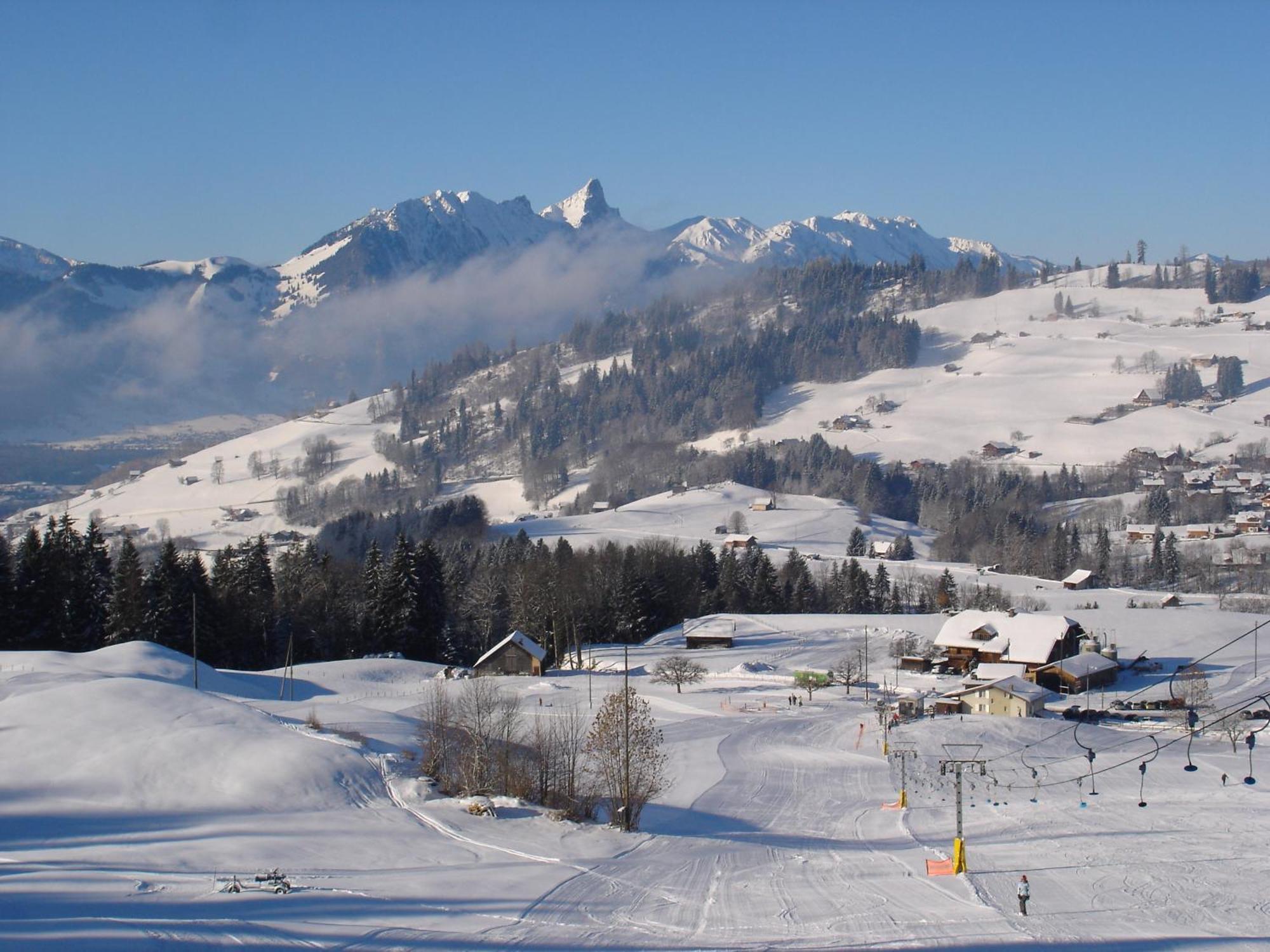 Chalet Sunneschyn Schwanden  Экстерьер фото