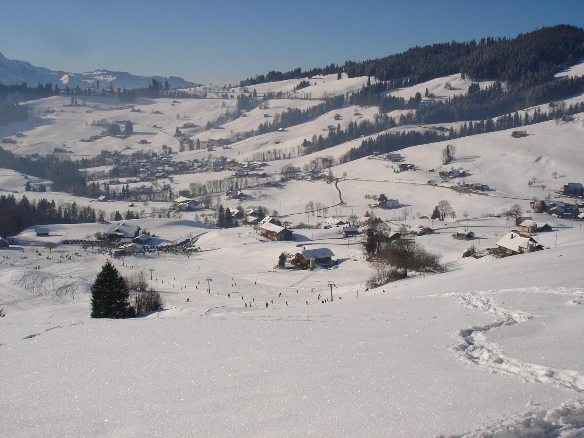 Chalet Sunneschyn Schwanden  Экстерьер фото