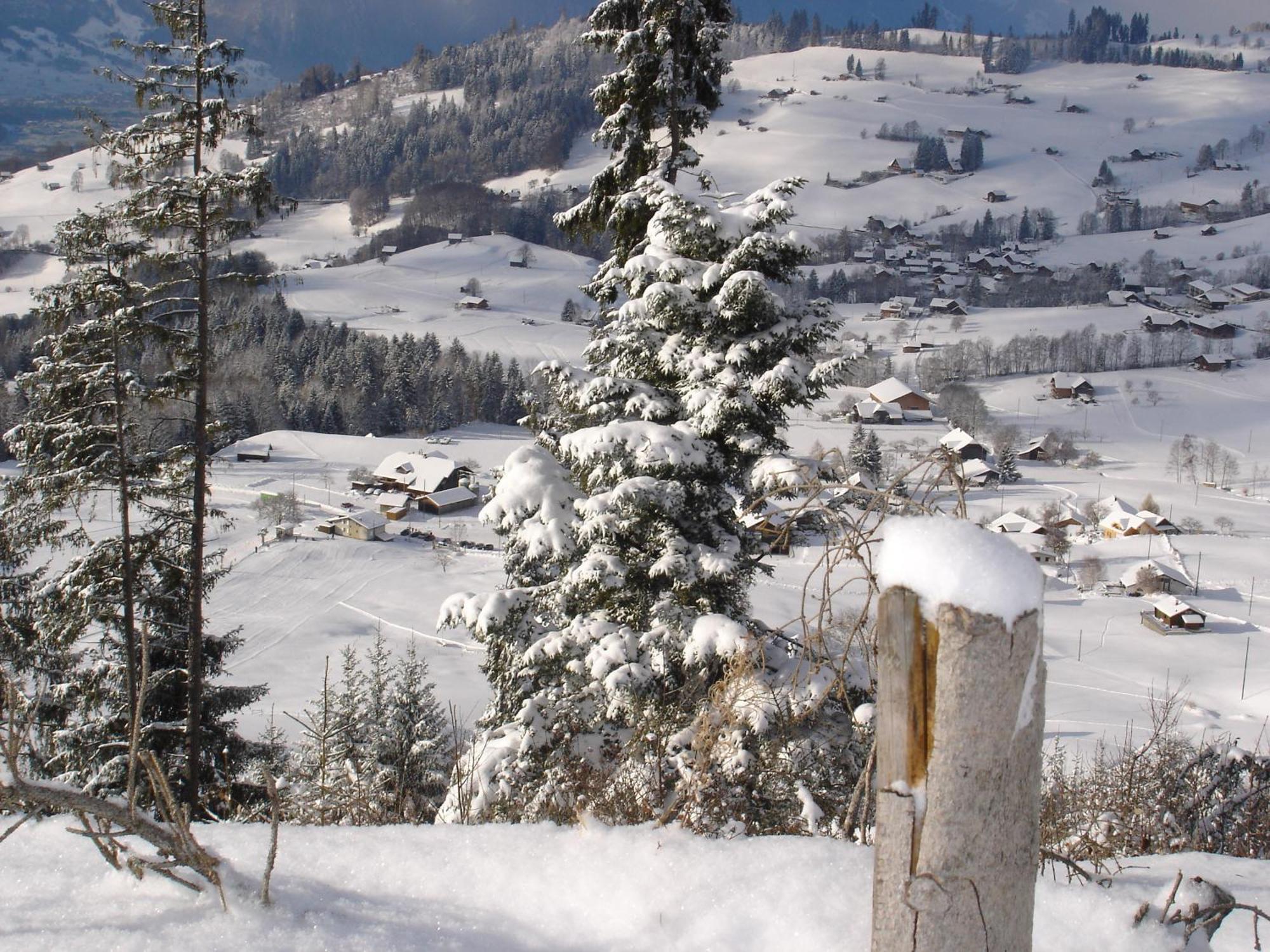 Chalet Sunneschyn Schwanden  Экстерьер фото